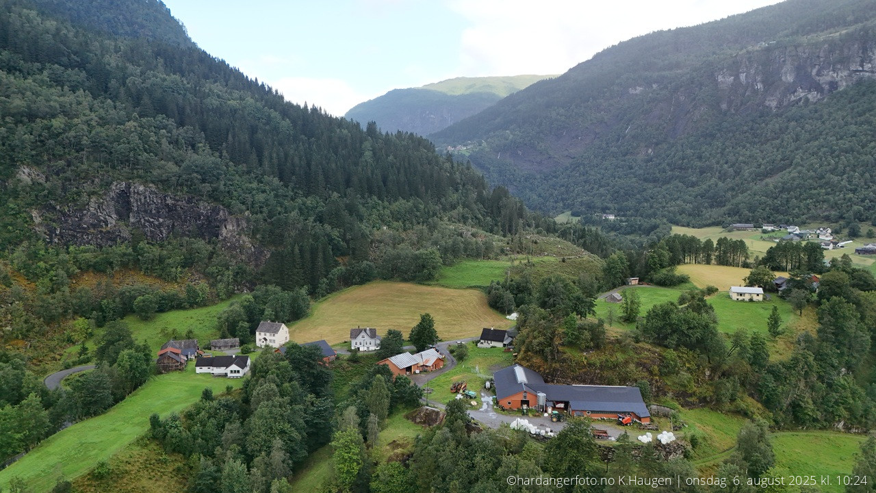 Såkvitno