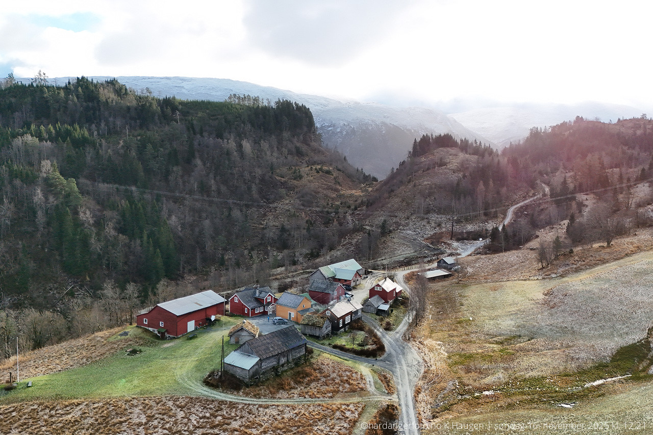 dji 20251116122120 d