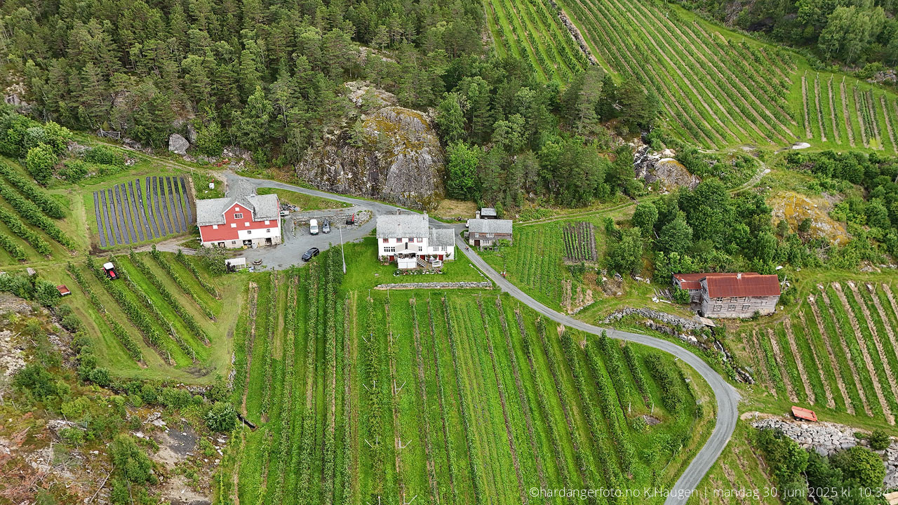 Ulgenes, Tjoflotvegen